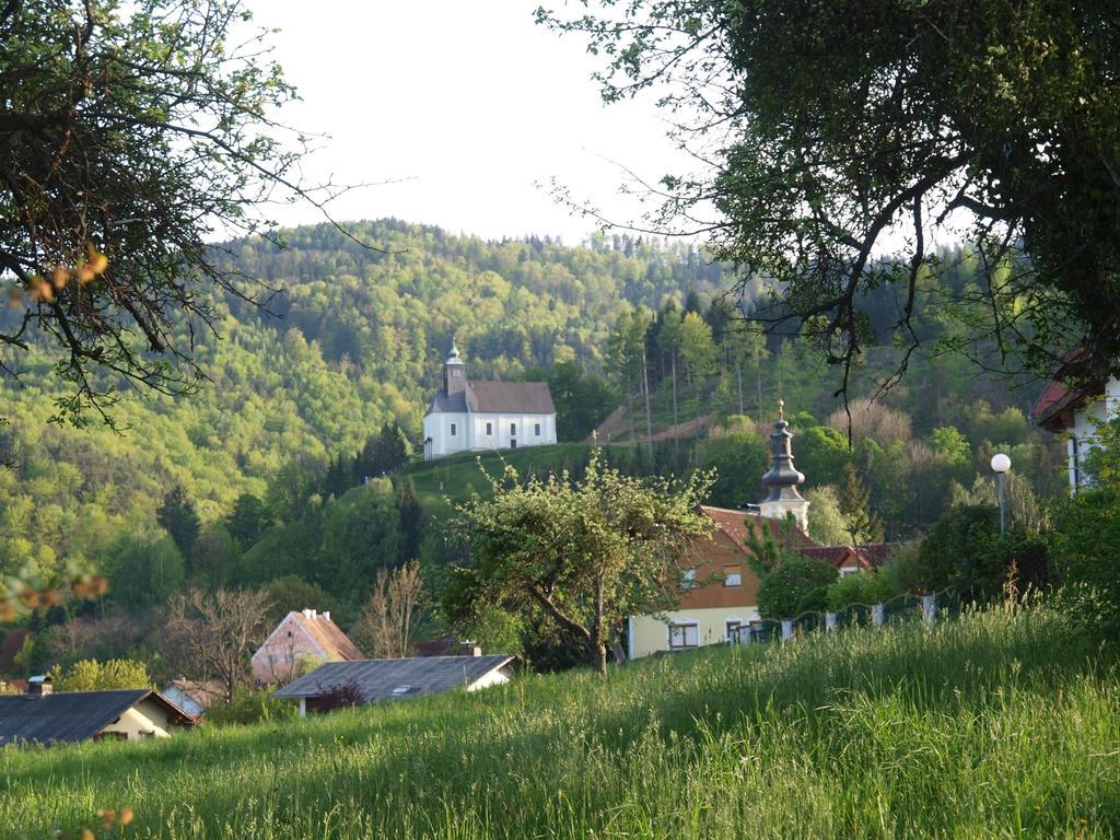Hotel Restaurant Zum Schwan Schwanberg Экстерьер фото